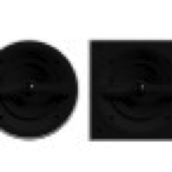 1629385950698092-800x600.jpg