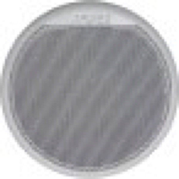 CMAR5-W_600pc.jpg