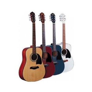 Washburn_OG2CEFYS.jpg