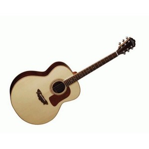 full_img_full-washburn-j52-sw-bk-21952.jpg