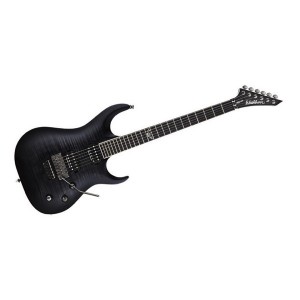 washburn-pxs20frtbb-630-80.jpg